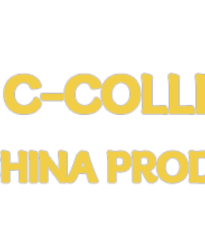 宠物墓碑 - 墓地花瓶